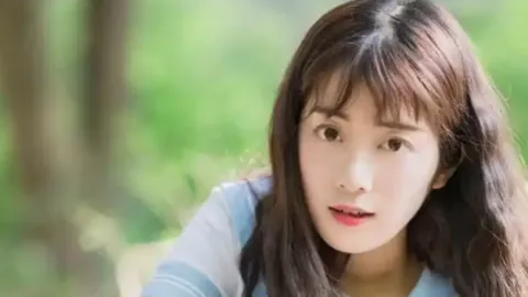 小猫被当流浪猫